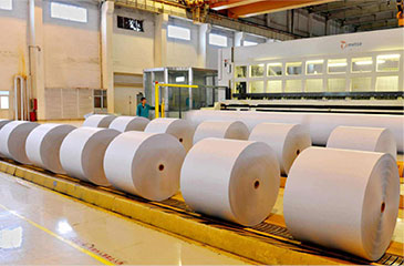 Papermaking Industry